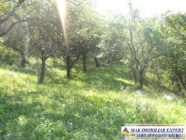 de-vanzare-vila-3-camere-cu-teren-5393-mp-in-apa-sarata-campulung-muscel-arges-15
