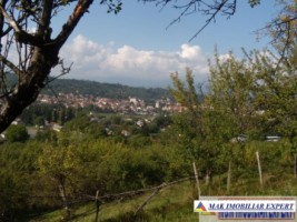 de-vanzare-vila-3-camere-cu-teren-5393-mp-in-apa-sarata-campulung-muscel-arges-16