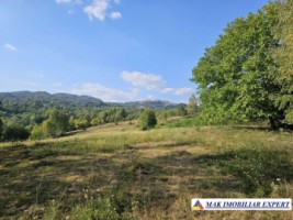teren-2262-mp-extravilan-de-vanzare-in-nucsoara-arges-1
