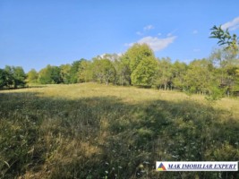 teren-2262-mp-extravilan-de-vanzare-in-nucsoara-arges-2