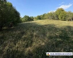 teren-2262-mp-extravilan-de-vanzare-in-nucsoara-arges-3