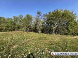 teren-2262-mp-extravilan-de-vanzare-in-nucsoara-arges-6