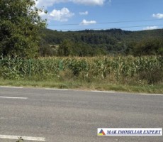 teren-3600-mp-extravilan-de-vanzare-in-hartiesti-arges-1