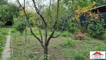 casa-dpe-cu-teren-769-mp-semicentral-zorilor-185000-euro-6