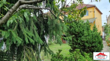 casa-dpe-cu-teren-769-mp-semicentral-zorilor-185000-euro-12