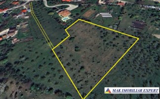 teren-intravilan-108-ha-cretisoara-campulung-muscel-arges-1