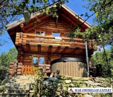 de-vanzare-complex-de-4-case-teren-31-ha-in-corbi-arges