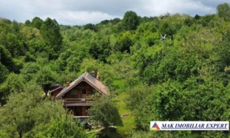 de-vanzare-complex-de-4-case-teren-31-ha-in-corbi-arges-7