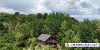 de-vanzare-complex-de-4-case-teren-31-ha-in-corbi-arges-6