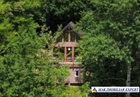 de-vanzare-complex-de-4-case-teren-31-ha-in-corbi-arges-3