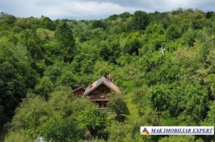 de-vanzare-complex-de-4-case-teren-31-ha-in-corbi-arges-4