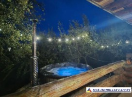 de-vanzare-complex-de-4-case-teren-31-ha-in-corbi-arges-19