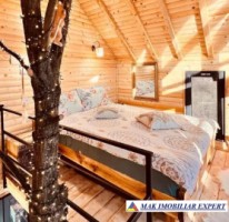 de-vanzare-complex-de-4-case-teren-31-ha-in-corbi-arges-11