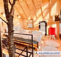 de-vanzare-complex-de-4-case-teren-31-ha-in-corbi-arges-14