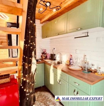 de-vanzare-complex-de-4-case-teren-31-ha-in-corbi-arges-13