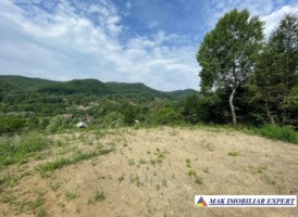 vand-teren-5137-mp-intra-extravilan-bradulet-piatra-arges