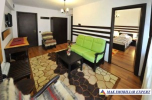 pensiune-15-camere-teren-1728-mp-bradulet-arges-7