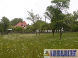 teren-9048-mp-intraextravilan-bughea-de-sus-arges