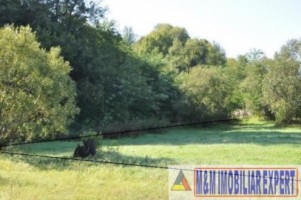 teren-9048-mp-intraextravilan-bughea-de-sus-arges-2