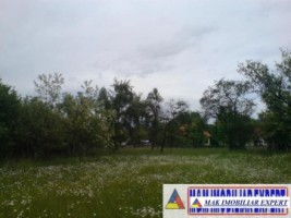 teren-9048-mp-intraextravilan-bughea-de-sus-arges-4