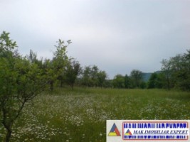 teren-9048-mp-intraextravilan-bughea-de-sus-arges-5