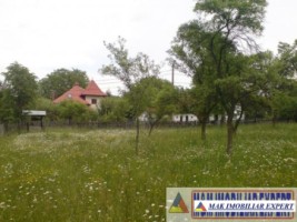 teren-9048-mp-intraextravilan-bughea-de-sus-arges-7