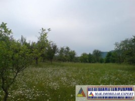 teren-9048-mp-intraextravilan-bughea-de-sus-arges-9