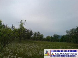 teren-9048-mp-intraextravilan-bughea-de-sus-arges-12