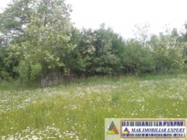 teren-9048-mp-intraextravilan-bughea-de-sus-arges-13