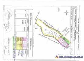 teren-9048-mp-intraextravilan-bughea-de-sus-arges-18