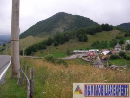 teren-intravilan-14-ha-valea-urdii-dambovicioara-arges