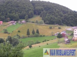 teren-intravilan-14-ha-valea-urdii-dambovicioara-arges-9