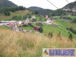 teren-intravilan-14-ha-valea-urdii-dambovicioara-arges-1