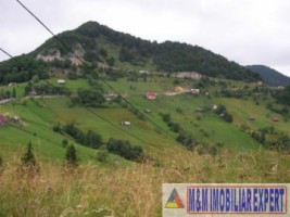 teren-intravilan-14-ha-valea-urdii-dambovicioara-arges-2