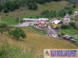 teren-intravilan-14-ha-valea-urdii-dambovicioara-arges-4