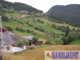 teren-intravilan-14-ha-valea-urdii-dambovicioara-arges-5