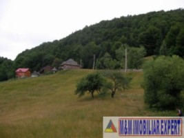 teren-intravilan-14-ha-valea-urdii-dambovicioara-arges-7