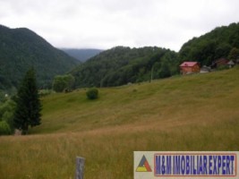 teren-intravilan-14-ha-valea-urdii-dambovicioara-arges-8