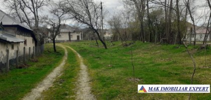 casa-7-camere-teren-de-3300-mp-de-vanzare-domnesti-arges-20
