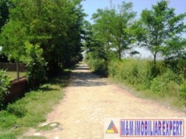 teren-145-ha-conacul-mihalache-in-matasaru-dambovita-4
