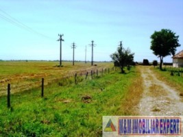 teren-145-ha-conacul-mihalache-in-matasaru-dambovita-7