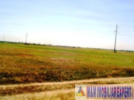 teren-145-ha-conacul-mihalache-in-matasaru-dambovita-8