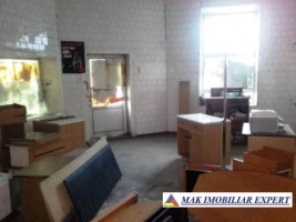 sp-comercial-1679-mp-teren-88037-mp-centru-campulung-arges-16