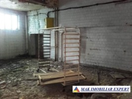 sp-comercial-1679-mp-teren-88037-mp-centru-campulung-arges-19