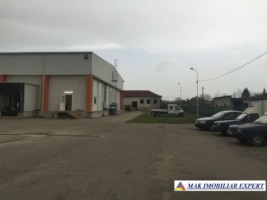 sp-com-25-ha-constructii-3837-mp-schitu-golesti-arges-4