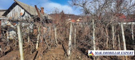 casa-5-corpuri-teren-1277-mp-de-vanzare-in-stalpeni-arges-3