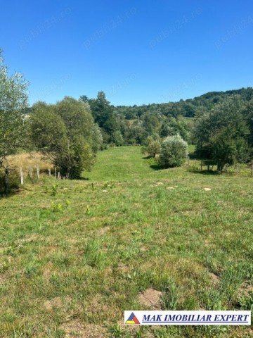 casa-5-corpuri-teren-1277-mp-de-vanzare-in-stalpeni-arges-5