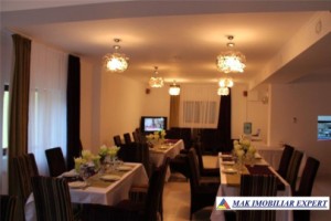 complex-turistic-22-camere-teren-6400-mp-rucar-satic-arges-4