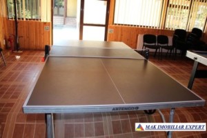 complex-turistic-22-camere-teren-6400-mp-rucar-satic-arges-8