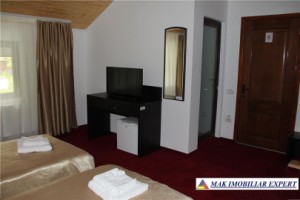 complex-turistic-22-camere-teren-6400-mp-rucar-satic-arges-12